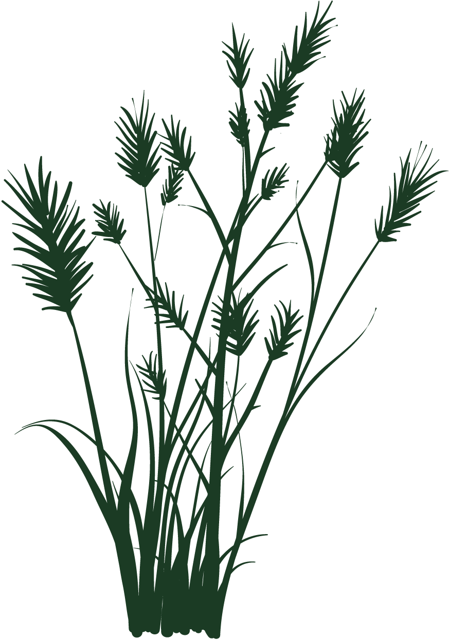grass-green