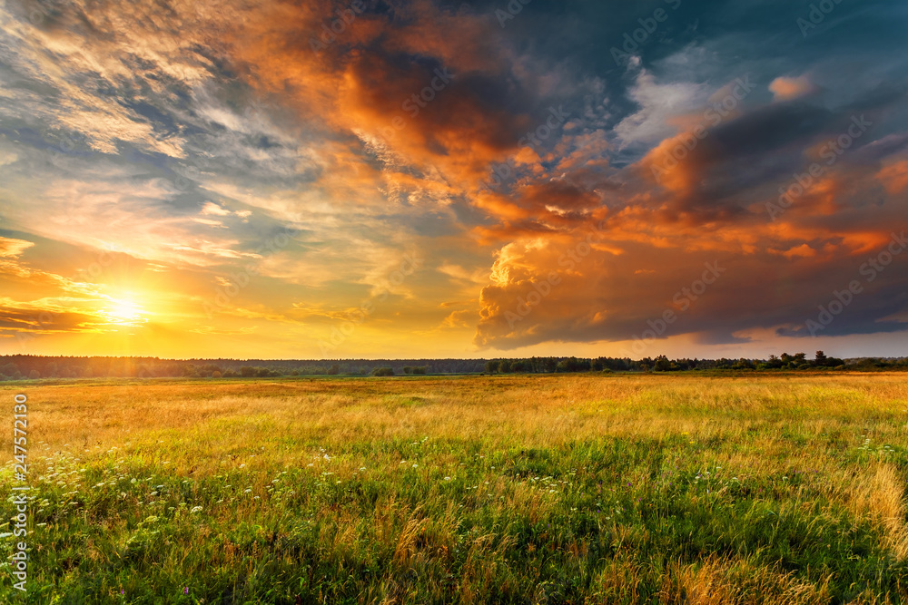 AdobeStock_247572130_Preview